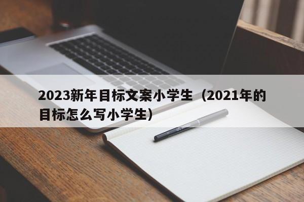 2023新年目标文案小学生（2021年的目标怎么写小学生）