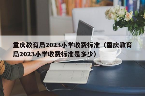 重庆教育局2023小学收费标准（重庆教育局2023小学收费标准是多少）