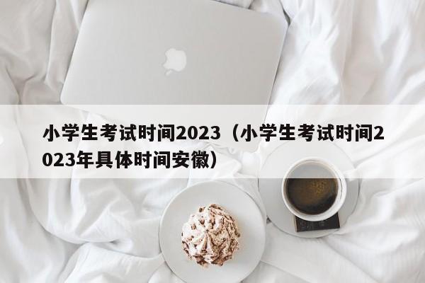 小学生考试时间2023（小学生考试时间2023年具体时间安徽）