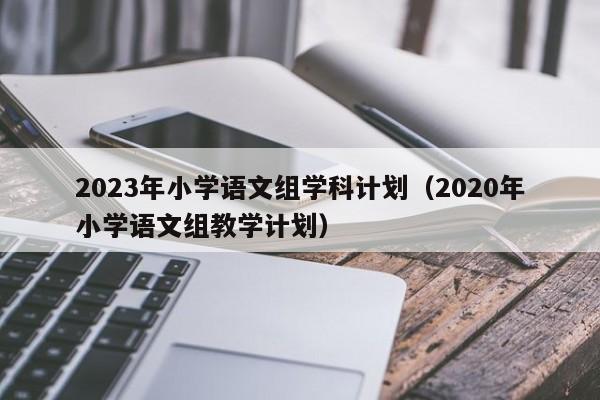 2023年小学语文组学科计划（2020年小学语文组教学计划）