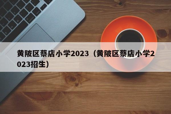 黄陂区蔡店小学2023（黄陂区蔡店小学2023招生）