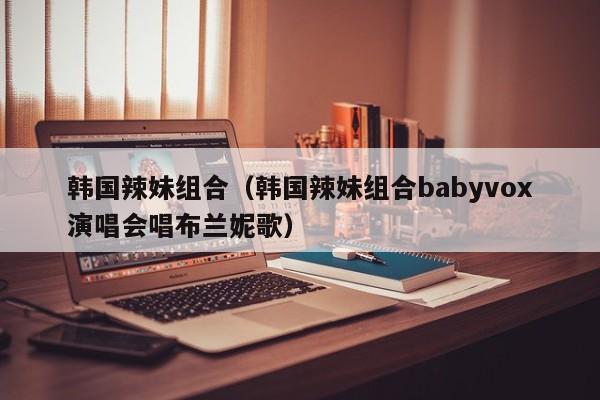 韩国辣妹组合（韩国辣妹组合babyvox演唱会唱布兰妮歌）