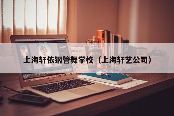 上海轩依钢管舞学校（上海轩艺公司）