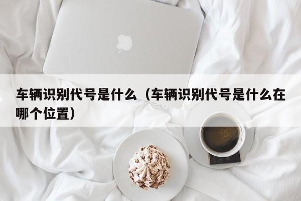 车辆识别代号是什么（车辆识别代号是什么在哪个位置）