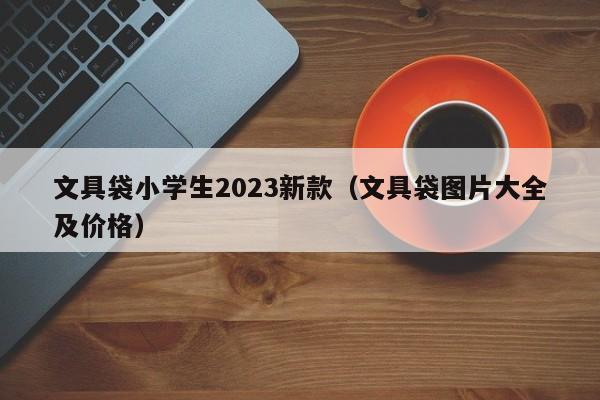 文具袋小学生2023新款（文具袋图片大全及价格）